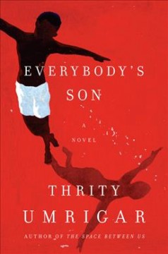 Everybody's son : a novel  Cover Image