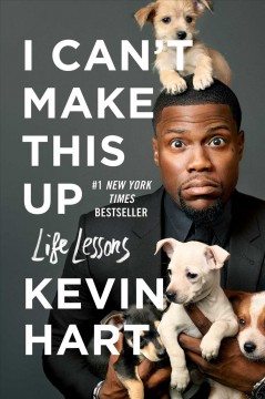 I can't make this up : life lessons  Cover Image