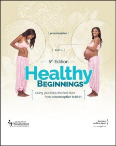 Healthy beginnings : giving your baby the best start, from preconception to birth  Cover Image