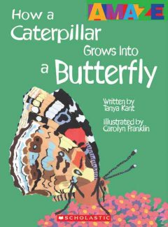How a caterpillar grows into a butterfly  Cover Image