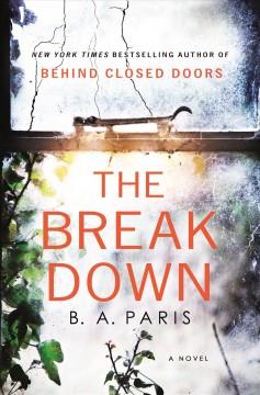 The breakdown  Cover Image