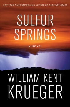 Sulfur Springs : a novel  Cover Image