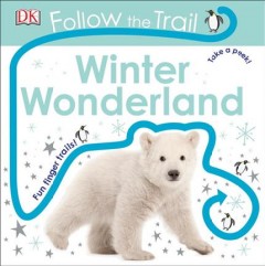 Winter wonderland  Cover Image