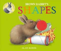 Brown Rabbit's shapes  Cover Image