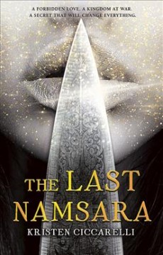 The last Namsara  Cover Image