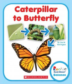 Caterpillar to butterfly  Cover Image