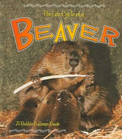 The life cycle of a beaver  Cover Image
