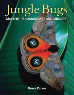 Jungle bugs : masters of camouflage and mimicry  Cover Image