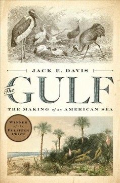 The Gulf : the making of an American sea  Cover Image