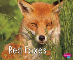 Red foxes  Cover Image