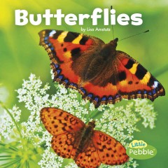 Butterflies  Cover Image