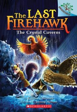 The crystal caverns  Cover Image