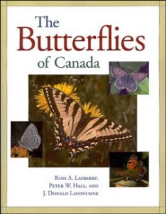The butterflies of Canada  Cover Image