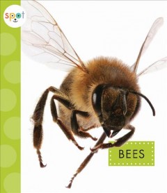 Bees  Cover Image