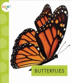 Butterflies  Cover Image