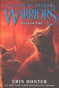 River of fire  Cover Image