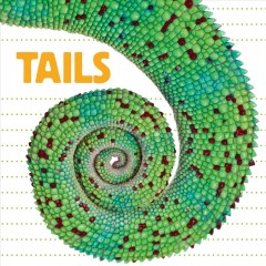Tails. Cover Image
