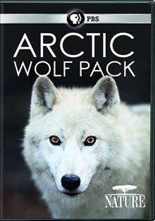Arctic wolf pack Cover Image