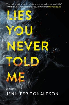 Lies you never told me : a novel  Cover Image