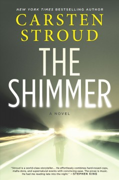 The shimmer  Cover Image
