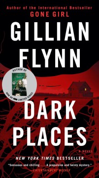 Dark places  Cover Image