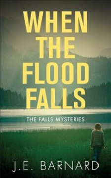 When the flood falls  Cover Image