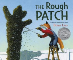 The rough patch  Cover Image