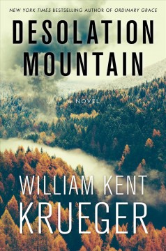 Desolation mountain : a novel  Cover Image