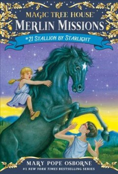 Stallion by starlight  Cover Image