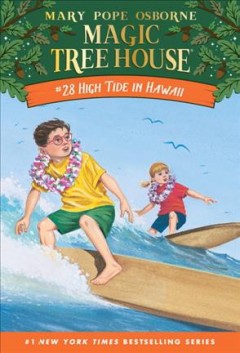 High tide in Hawaii  Cover Image