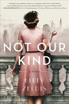 Not our kind : a novel  Cover Image