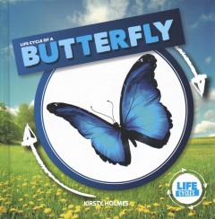 Life cycle of a butterfly  Cover Image