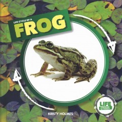 Life cycle of a frog  Cover Image