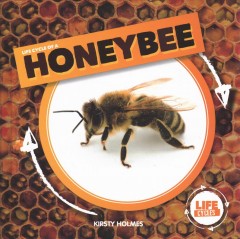 Life cycle of a honeybee  Cover Image