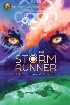 The storm runner  Cover Image