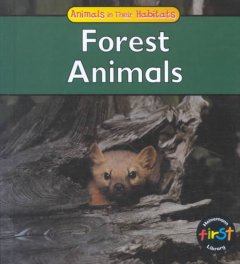 Forest animals  Cover Image