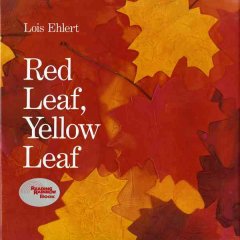 Red leaf, yellow leaf  Cover Image