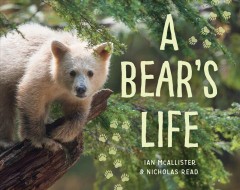 A bear's life  Cover Image