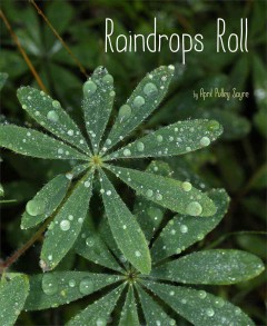 Raindrops roll  Cover Image