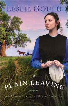 A plain leaving  Cover Image