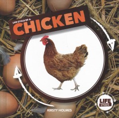 Life cycle of a chicken  Cover Image