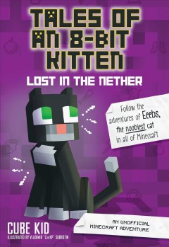 Lost in the nether  Cover Image