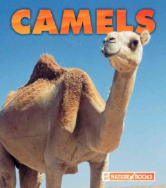 Camels  Cover Image