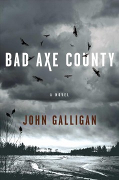 Bad Axe County : a novel  Cover Image