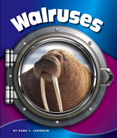 Walruses  Cover Image