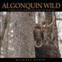 Algonquin wild : a naturalist's journey through the seasons  Cover Image