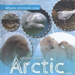 Animals in the Arctic  Cover Image
