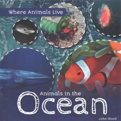 Animals in the ocean  Cover Image
