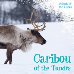 Caribou of the tundra  Cover Image