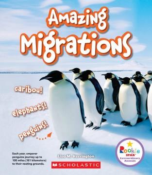Amazing migrations  Cover Image